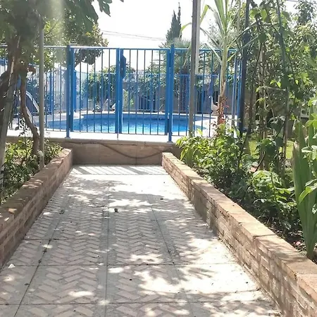 Aguilas Málaga